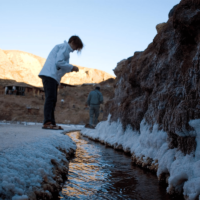MARAS