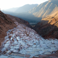 MARAS